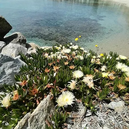 Lägenhet Opis Ornos (Mykonos)