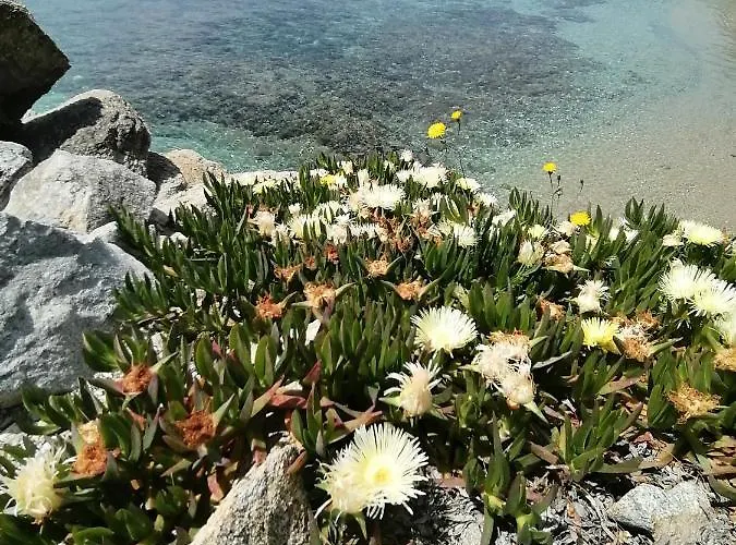 Apartament Opis Ornos (Mykonos)